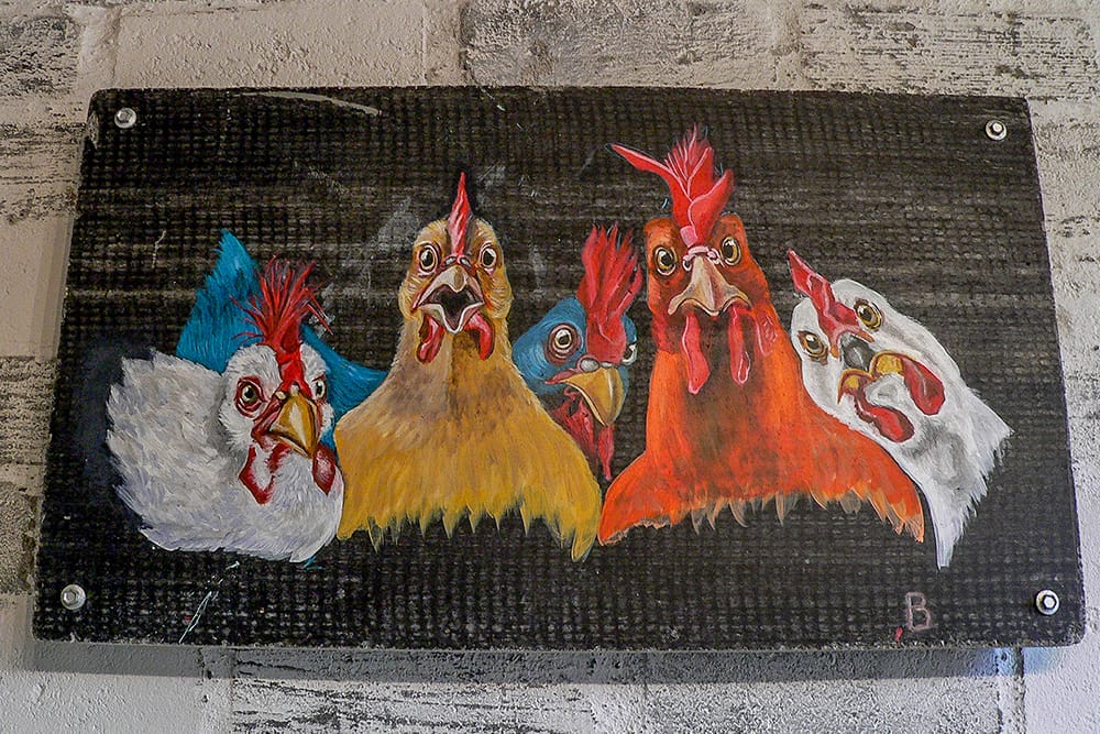 High quality full-screen image of de Baken