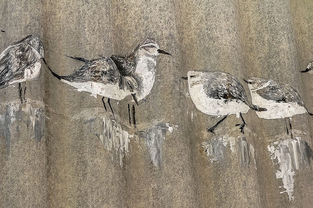 High quality full-screen image of de Baken